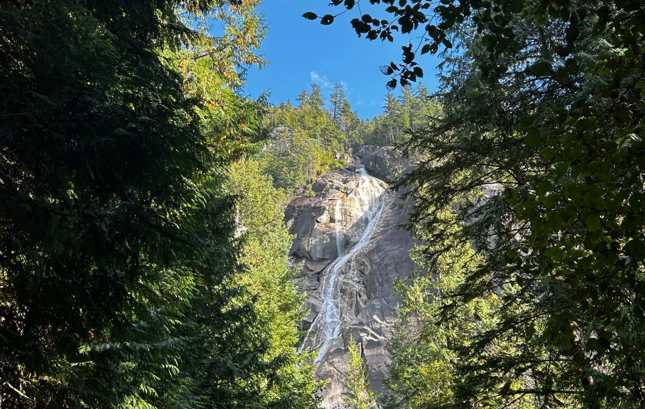 木々の間から見える Shannon Falls の滝